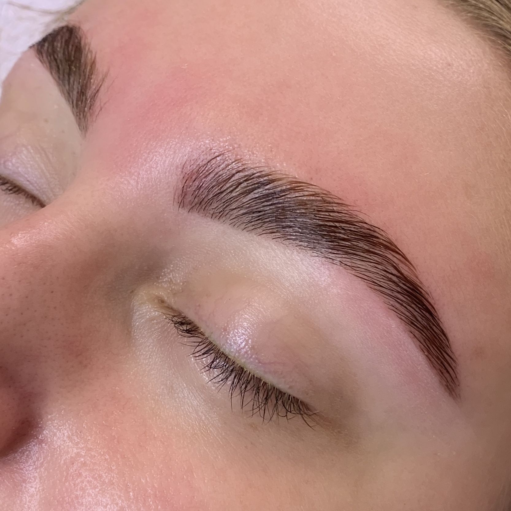 Eyebrow Lamination